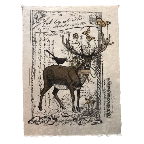 12x16 Artisan Paper Print, seek the secrets of nature