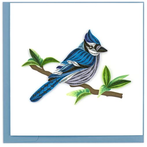 Quilled Blue Jay Greeting Card