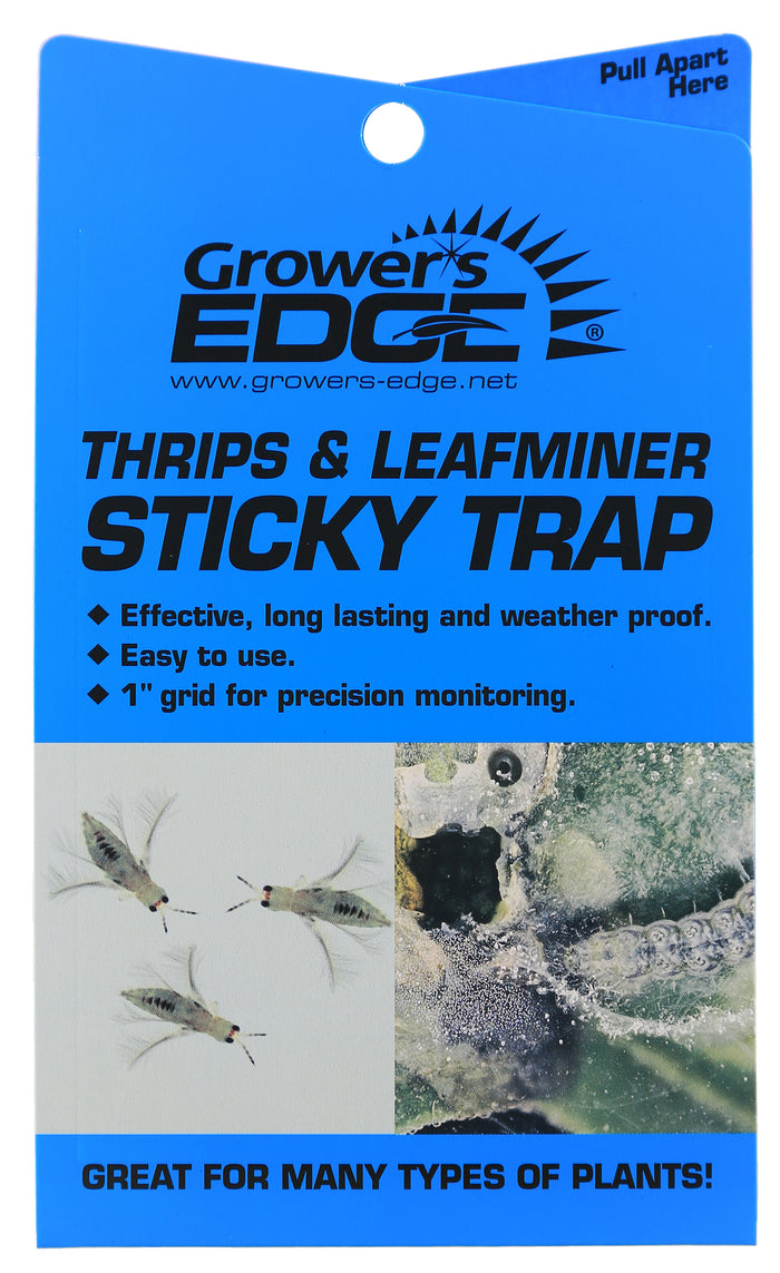 Sticky Thrips/Leafminer Traps - 5 Pack