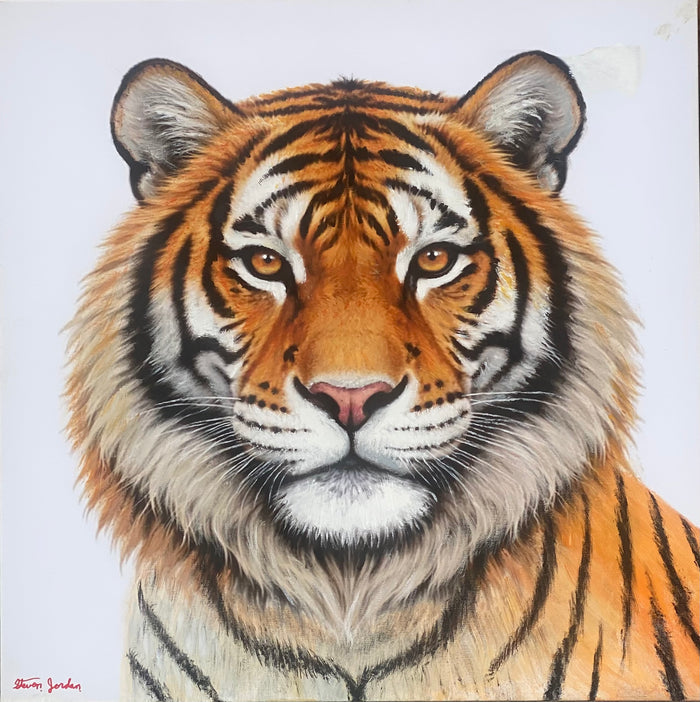“Tiger”