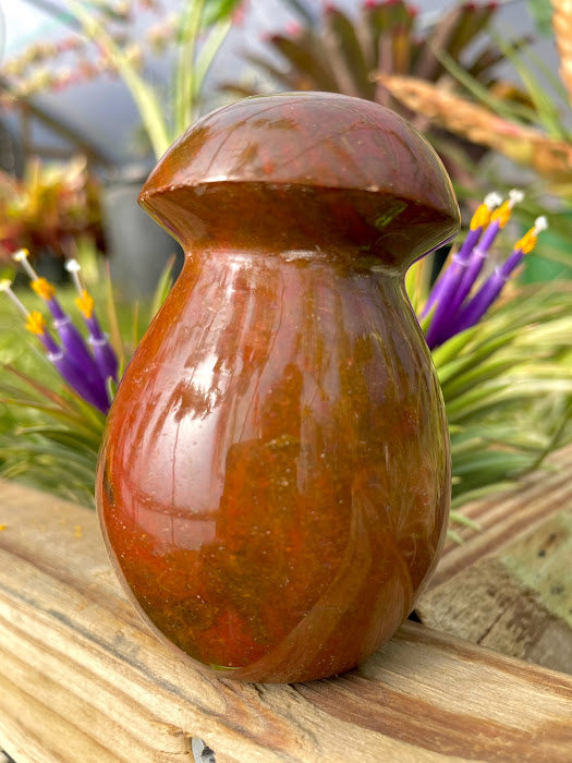 WYSIWYG- Ocean Jasper Mushroom