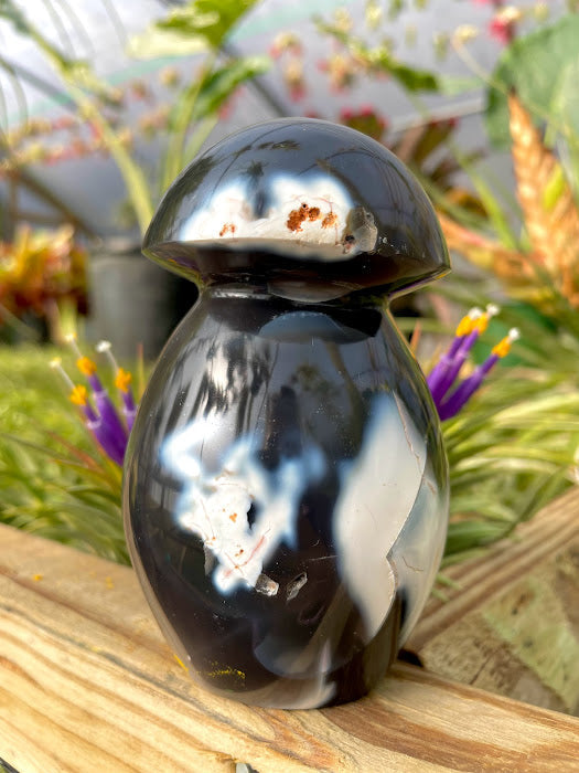 WYSIWYG- Orca Agate Mushroom