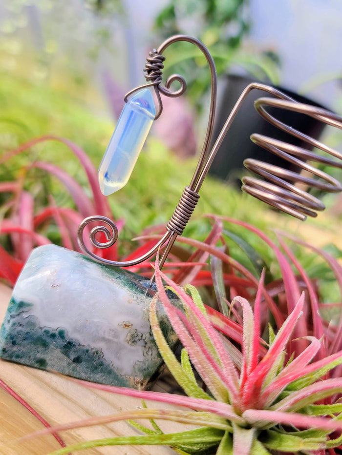 WYSIWYG Moss Agate Crystal Air Plant Holder with Ionantha Mexican