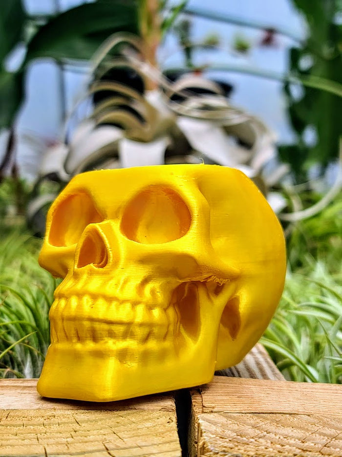 Yellow Skull 3D Printed Holder w/ Ionantha Druid