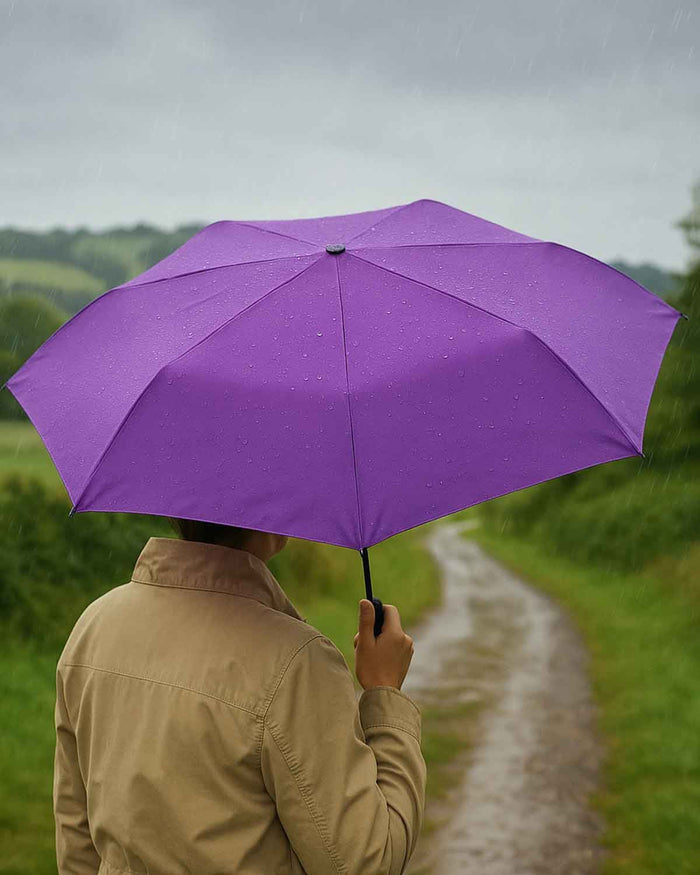 Ziggy Compact Folding Umbrella - Purple - Country Collection