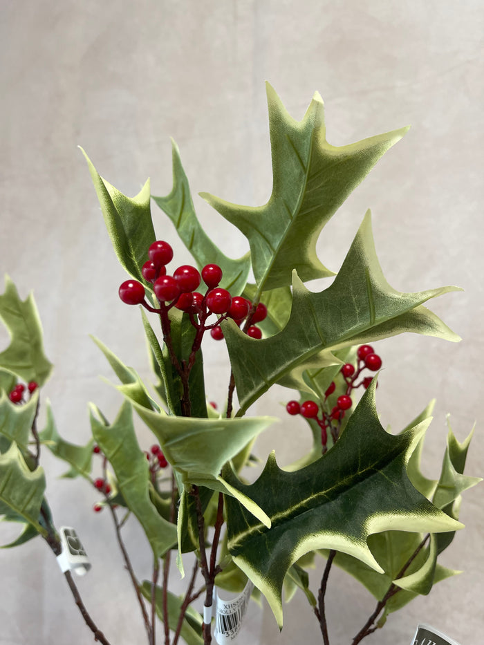 Advent Holly Spray