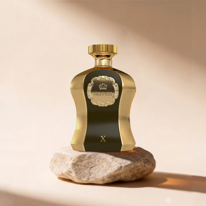 Afnan Highness x edp100ml