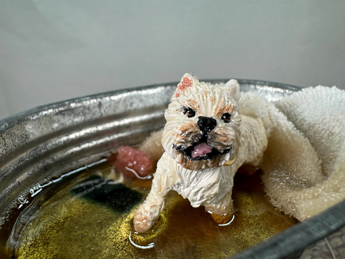Artisan Handmade OOAK Terrier Dog In Outdoor Bath Tub