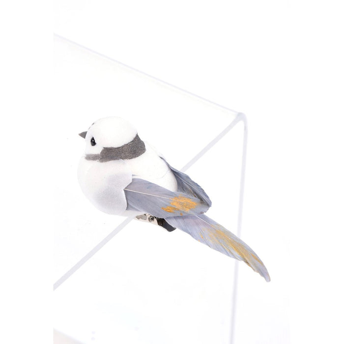 Assorted Clip Birdie Box