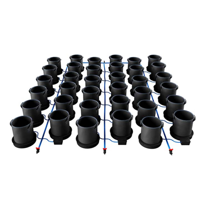 36 Pot