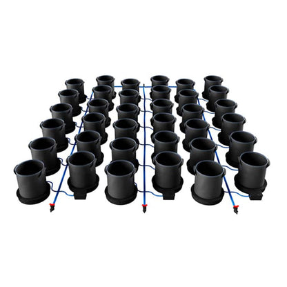 36 Pot