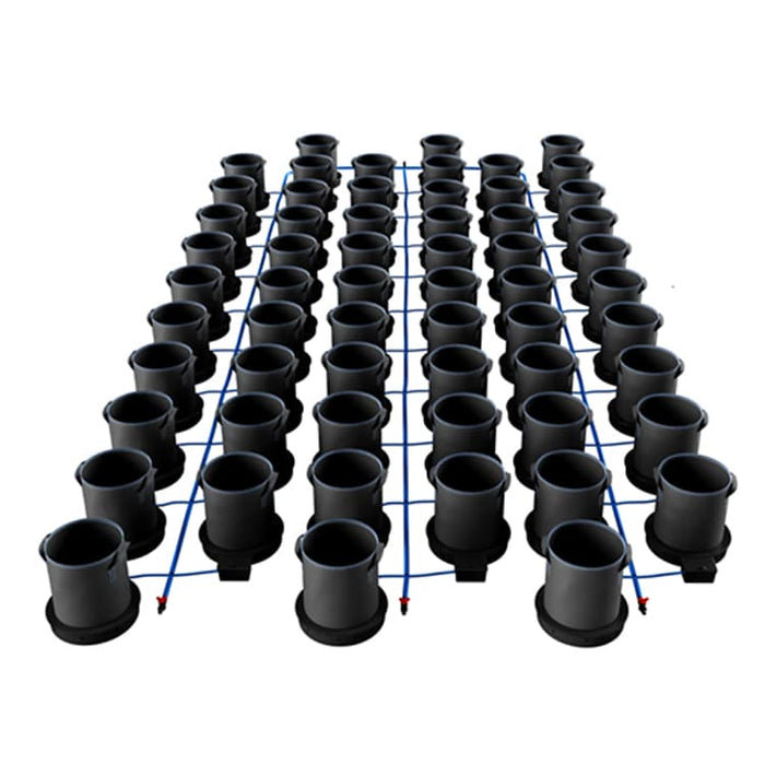 60 Pot