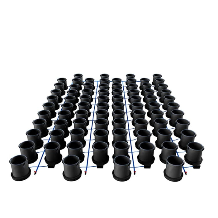 80 Pot