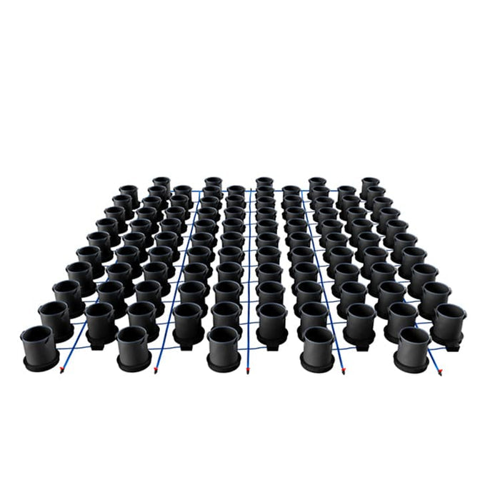 100 Pot
