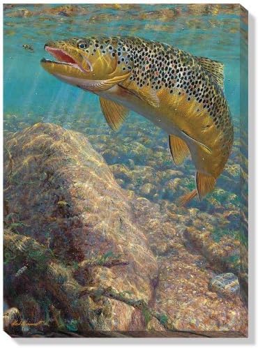 Bad Decision - Brown Trout Canvas
