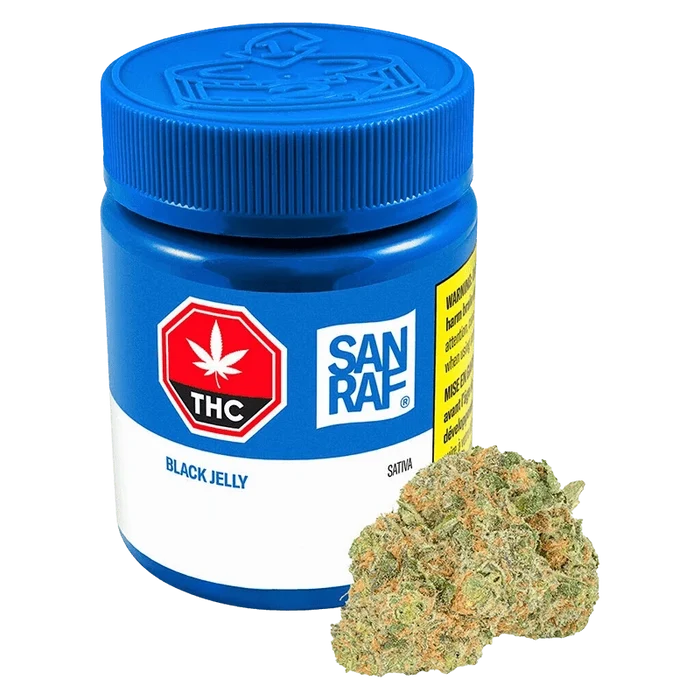 Front three-quarter view of a blue San Raf Black Jelly jar with label details visible and a cannabis bud positioned at its base.