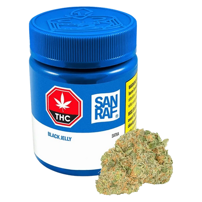 Front three-quarter view of a blue San Raf Black Jelly jar with label details visible and a cannabis bud positioned at its base.