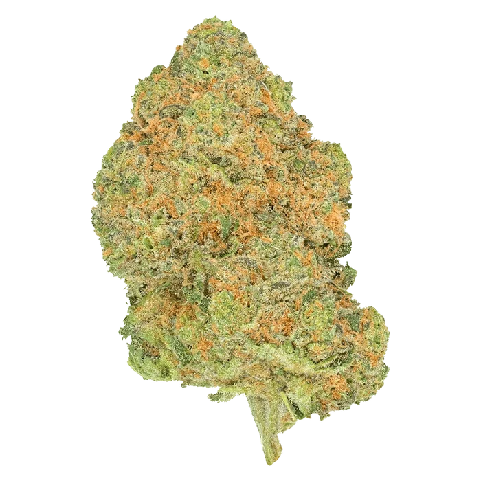Single close-up of the dense, orange-flecked Black Jelly cannabis bud against a plain background.