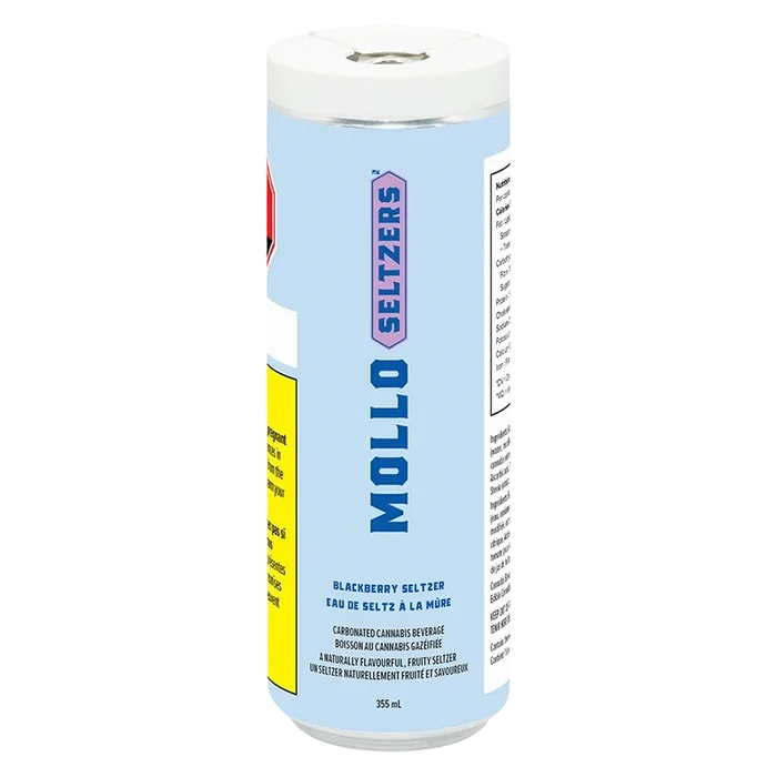 Tall front-facing can with pale blue label showing "MOLLO SELTZERS" and small text reading Blackberry Seltzer 355 ml, photographed on white.