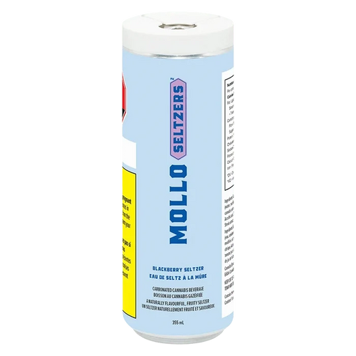 Tall front-facing can with pale blue label showing "MOLLO SELTZERS" and small text reading Blackberry Seltzer 355 ml, photographed on white.