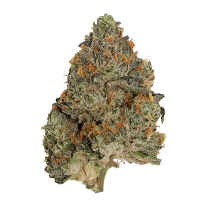Close-up top-down view of a frosty, green-and-orange bud labeled Blue Zushi, shown against a neutral background highlighting its dense trichomes and leafy texture