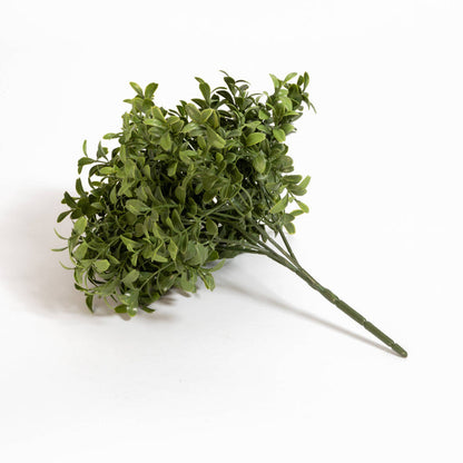 Boxwood Stem