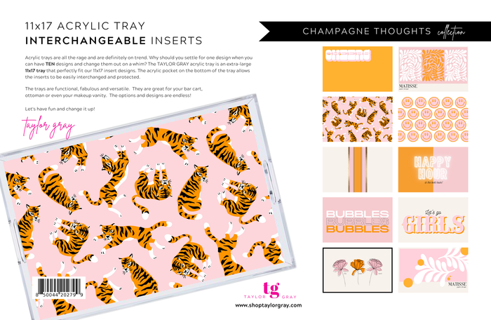 Champagne Dreams Acrylic Tray Inserts Set