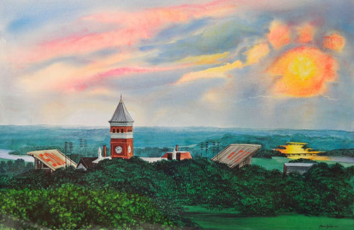 Clemson Summer