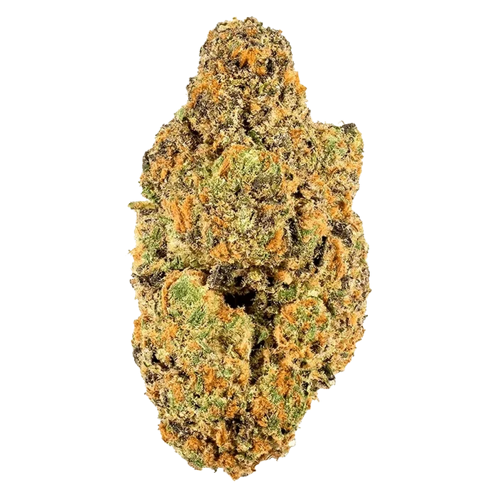 Close-up front view of the dense, trichome-coated Coffin Candy bud showing green, purple, and bright orange hairs against a neutral background