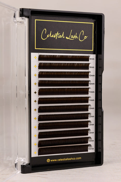 Dark Brown Classic Lashes
