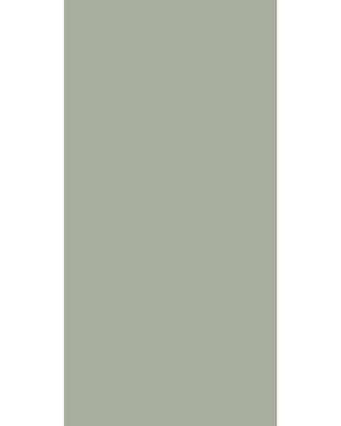 Desert Sage High Gloss Texture