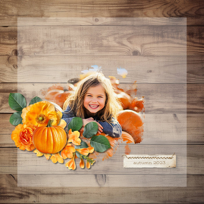 With 81 unique photo masks supplied as both standard and inverse embellishments, these digital photo masks by Lucky Girl Creative digital art for digital scrapbooking can be filled with paper or photos, colorized, or used as Blend effects. In Photoshop, drop the photo mask on your page, overlay with your favorite photo, and create a clipping path for a stunning result.