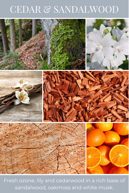Eco Candle Company - 6oz eco candle CEDAR & SANDALWOOD