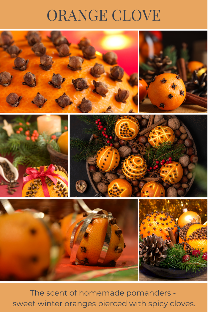 Eco Candle Company - 8oz mason ORANGE CLOVE