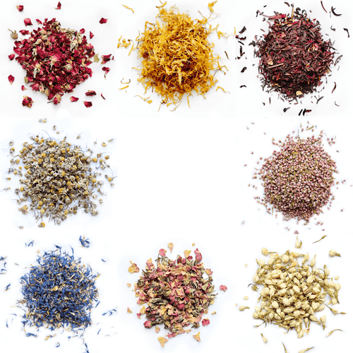 * Floral Botanical Sample Pack - 8 Dried Flower Varieties - NorthWood Candle & Craft