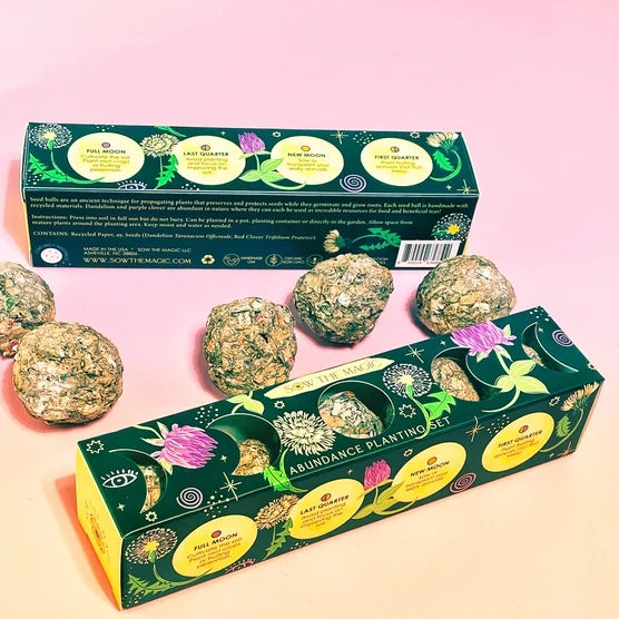 Garden Seed Ball Gift Box