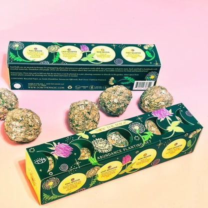 Garden Seed Ball Gift Box