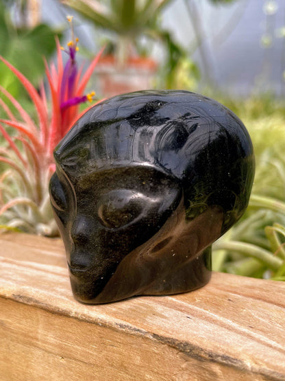 Gold Sheen Obsidian Alien Skull Carving