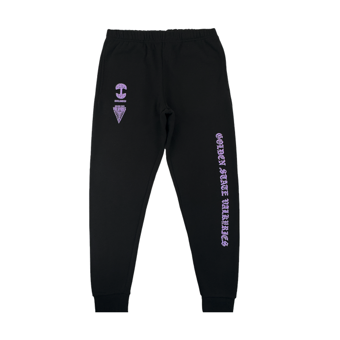 The GSV ROTV Pant by GSV features men's black sweatpants with an elastic waistband, cuffs, purple "Golden State Valkyries" text down the left leg, and purple geometric shapes—a circle and triangle—on the right thigh.