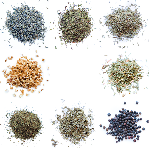 * Herbal Botanical Sample Pack - 8 Dried Herb Varieties - NorthWood Candle & Craft