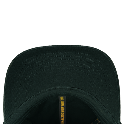 Top view of the Hieroglyphics Hiero Logo Dad Hat shows the inside brim with a darker green shade and visible stitching. Inside, an adjustable strap enhances comfort, while a yellow strip features partially visible black text "QUANSIS NEGROPYHIC," resembling modern hieroglyphics.