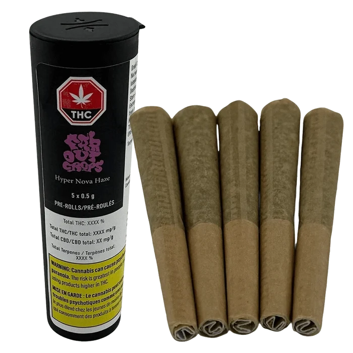 Close-up of a black tube and five brown pre-rolls arranged upright, labeled HyperNova Haze PR 5 x 0.5 g.