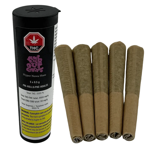 Close-up of a black tube and five brown pre-rolls arranged upright, labeled HyperNova Haze PR 5 x 0.5 g.