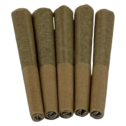 Top-down view of five packed cones arranged side-by-side, labeled HyperNova Haze PR 5 x 0.5 g.