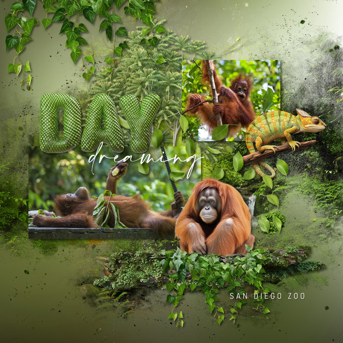 Explore nature and the outdoors with this beautiful realistic digital scrapbooking jungle flora and fauna embellishment kit by Lucky Girl Creative digital art. Great for tropical vacations, hiking, camping, nature walks, the zoo, and more. Embellishments include bird, cockatoo, hummingbird, parrot, peacock, toucan, capybara, crab, crocodile, alligator, fish, frog, lizard, reptile, bug, insect, beetle, ant, dragonfly, ladybug, mosquito, spider, monkey, chimpanzee, Proboscis, Orangutan, panther, and more.