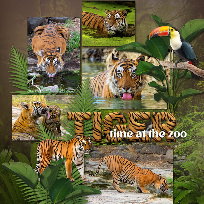 Explore nature and the outdoors with this beautiful realistic digital scrapbooking jungle flora and fauna embellishment kit by Lucky Girl Creative digital art. Great for tropical vacations, hiking, camping, nature walks, the zoo, and more. Embellishments include bird, cockatoo, hummingbird, parrot, peacock, toucan, capybara, crab, crocodile, alligator, fish, frog, lizard, reptile, bug, insect, beetle, ant, dragonfly, ladybug, mosquito, spider, monkey, chimpanzee, Proboscis, Orangutan, panther, and more.