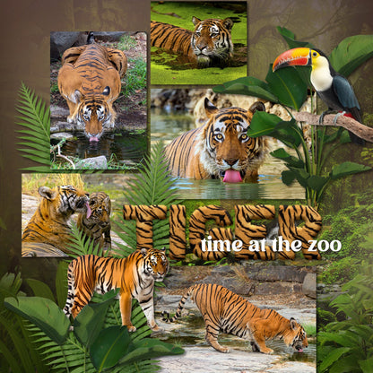 Explore nature and the outdoors with this beautiful realistic digital scrapbooking jungle flora and fauna embellishment kit by Lucky Girl Creative digital art. Great for tropical vacations, hiking, camping, nature walks, the zoo, and more. Embellishments include bird, cockatoo, hummingbird, parrot, peacock, toucan, capybara, crab, crocodile, alligator, fish, frog, lizard, reptile, bug, insect, beetle, ant, dragonfly, ladybug, mosquito, spider, monkey, chimpanzee, Proboscis, Orangutan, panther, and more.