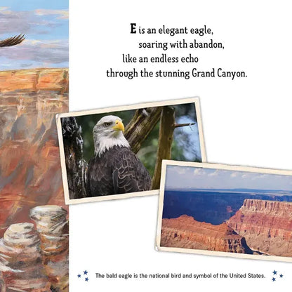 Land of the Free America's ABC Picture Book