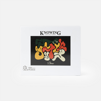 Laying Puzzle