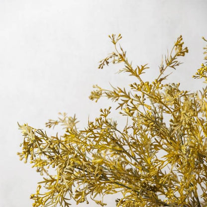 Meadow Grass Flaxen Stem
